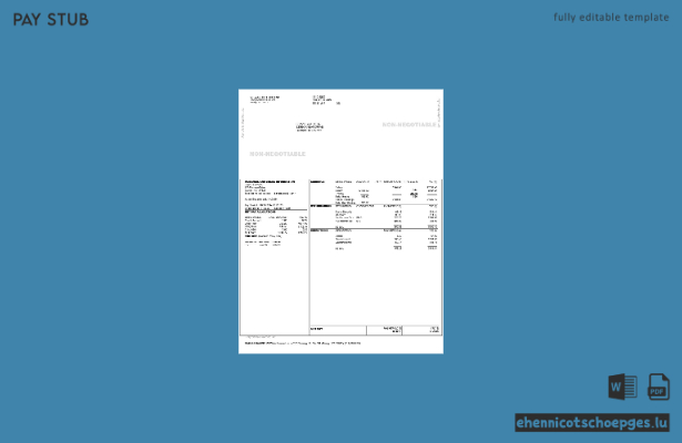 M3 WAKE Research INC Gewinn- und Verlustrechnung – Beispielvorschau